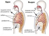 Упражнения для развития опоры